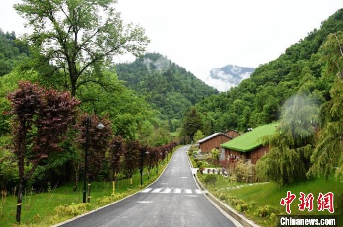九寨溝熊貓園外景?！【耪瘻峡h委宣傳部提供 攝