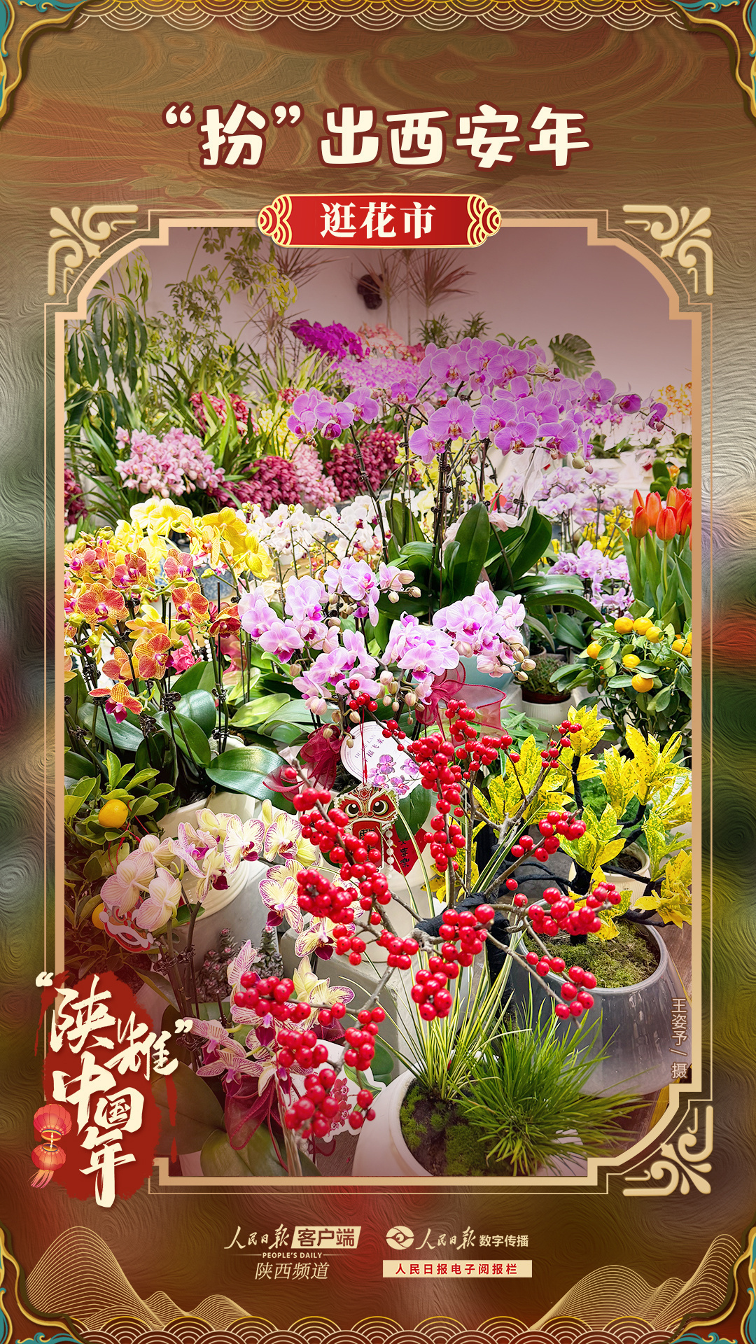 1707290502888115.jpg?x-oss-process=style/w10 41a8e7012bde25de6255f7f0edc571f4_.jpg?x-oss-process=style/w10